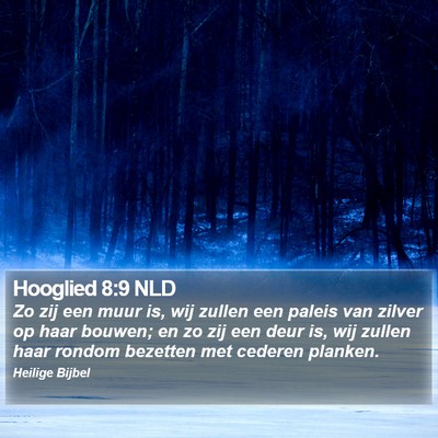 Hooglied 8:9 NLD Bible Verse Image