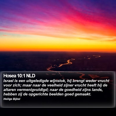 Hosea 10:1 NLD Bible Verse Image