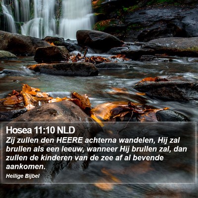 Hosea 11:10 NLD Bible Verse Image