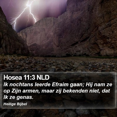 Hosea 11:3 NLD Bible Verse Image