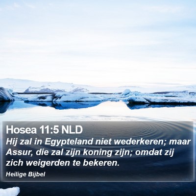Hosea 11:5 NLD Bible Verse Image