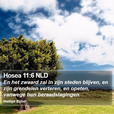 Hosea 11:6 NLD Bible Verse Image