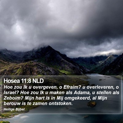 Hosea 11:8 NLD Bible Verse Image