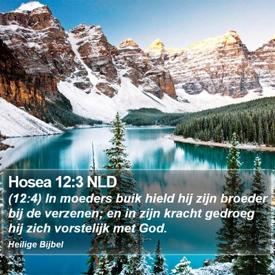 Hosea 12:3 NLD Bible Verse Image