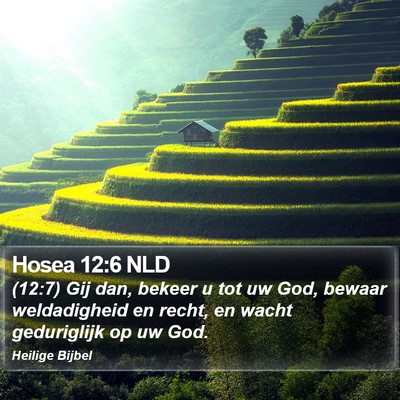 Hosea 12:6 NLD Bible Verse Image