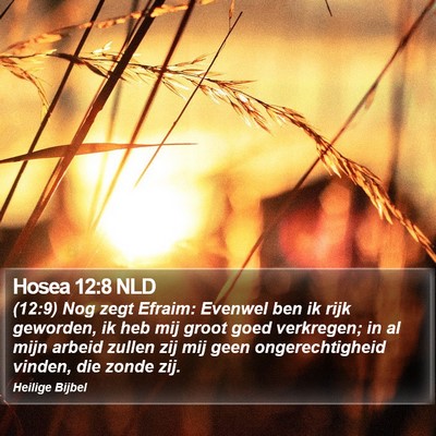 Hosea 12:8 NLD Bible Verse Image