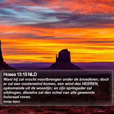 Hosea 13:15 NLD Bible Verse Image