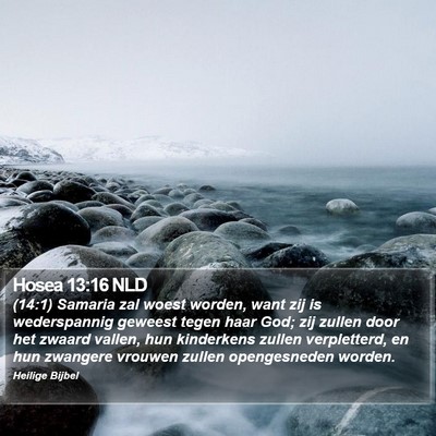 Hosea 13:16 NLD Bible Verse Image