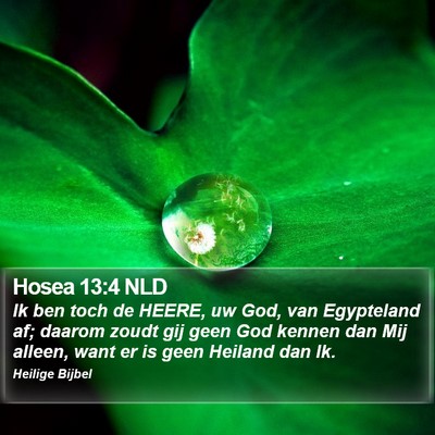 Hosea 13:4 NLD Bible Verse Image