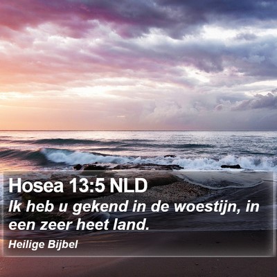 Hosea 13:5 NLD Bible Verse Image