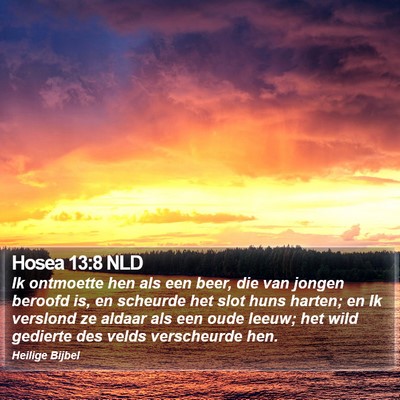 Hosea 13:8 NLD Bible Verse Image