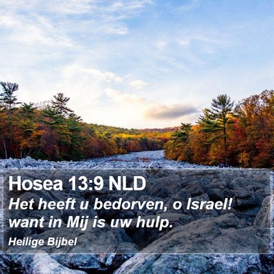 Hosea 13:9 NLD Bible Verse Image