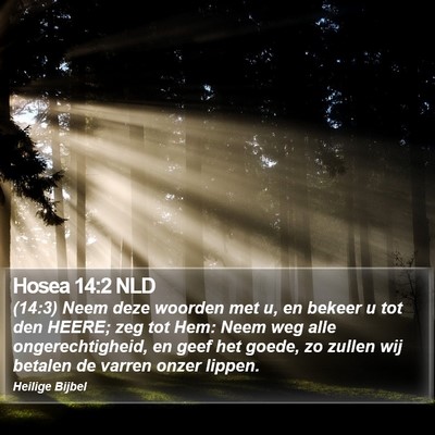 Hosea 14:2 NLD Bible Verse Image