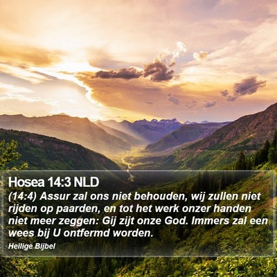Hosea 14:3 NLD Bible Verse Image