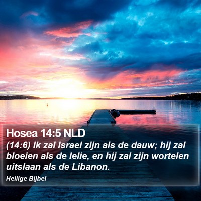Hosea 14:5 NLD Bible Verse Image