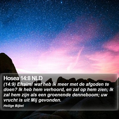 Hosea 14:8 NLD Bible Verse Image