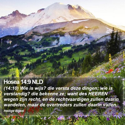 Hosea 14:9 NLD Bible Verse Image