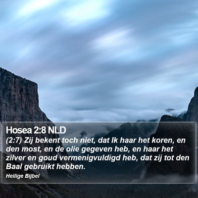 Hosea 2:8 NLD Bible Verse Image