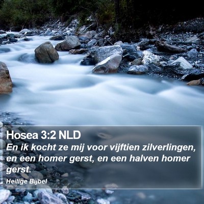 Hosea 3:2 NLD Bible Verse Image