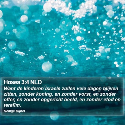 Hosea 3:4 NLD Bible Verse Image