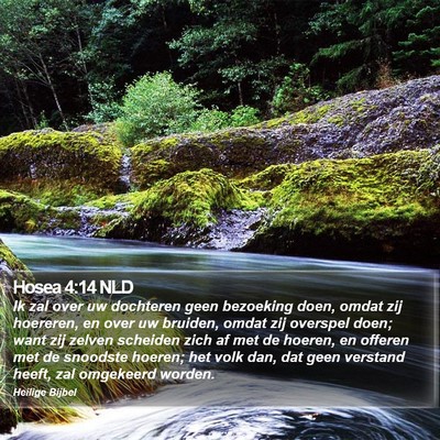Hosea 4:14 NLD Bible Verse Image