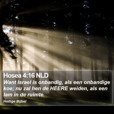 Hosea 4:16 NLD Bible Verse Image