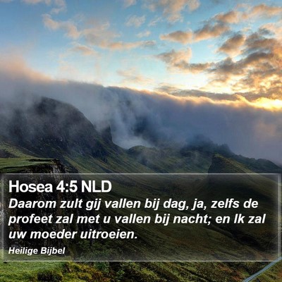 Hosea 4:5 NLD Bible Verse Image