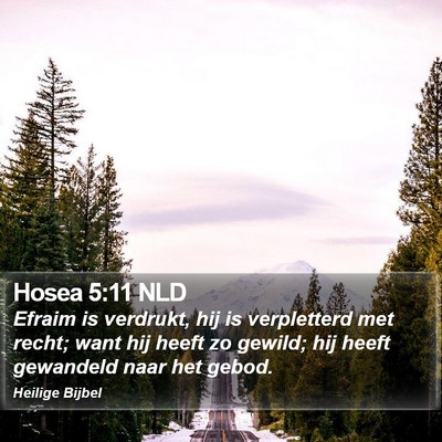 Hosea 5:11 NLD Bible Verse Image