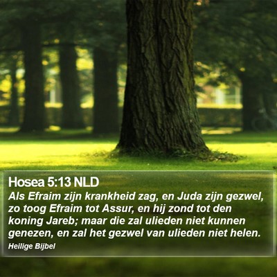 Hosea 5:13 NLD Bible Verse Image
