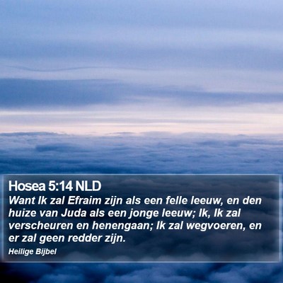 Hosea 5:14 NLD Bible Verse Image