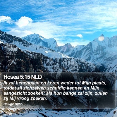 Hosea 5:15 NLD Bible Verse Image