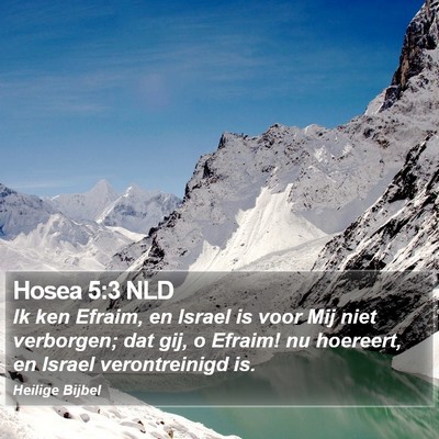 Hosea 5:3 NLD Bible Verse Image