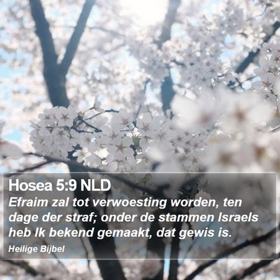 Hosea 5:9 NLD Bible Verse Image