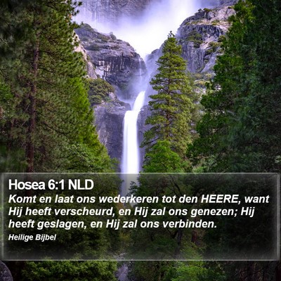Hosea 6:1 NLD Bible Verse Image
