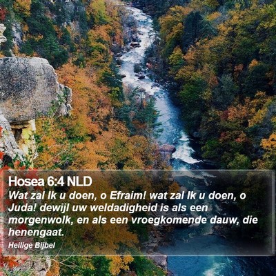 Hosea 6:4 NLD Bible Verse Image