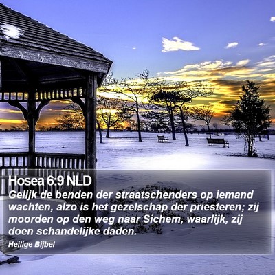 Hosea 6:9 NLD Bible Verse Image