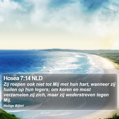 Hosea 7:14 NLD Bible Verse Image