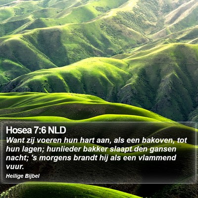 Hosea 7:6 NLD Bible Verse Image