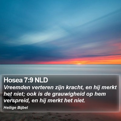 Hosea 7:9 NLD Bible Verse Image