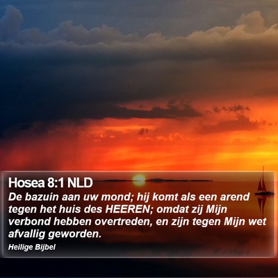Hosea 8:1 NLD Bible Verse Image