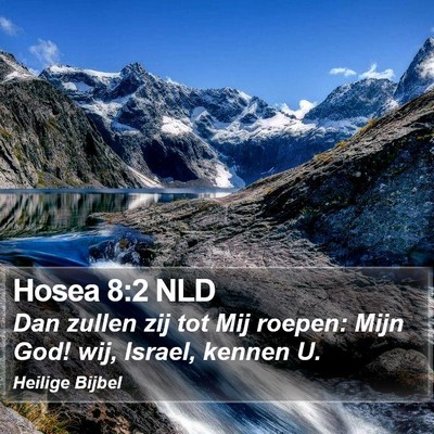 Hosea 8:2 NLD Bible Verse Image