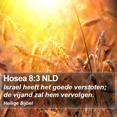 Hosea 8:3 NLD Bible Verse Image
