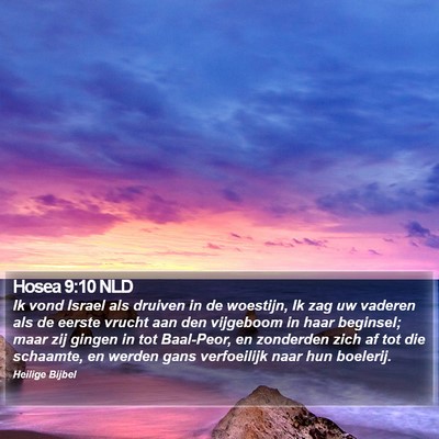 Hosea 9:10 NLD Bible Verse Image