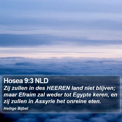 Hosea 9:3 NLD Bible Verse Image