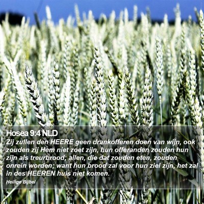 Hosea 9:4 NLD Bible Verse Image