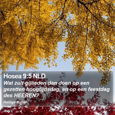 Hosea 9:5 NLD Bible Verse Image