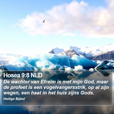 Hosea 9:8 NLD Bible Verse Image