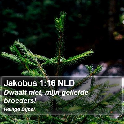 Jakobus 1:16 NLD Bible Verse Image
