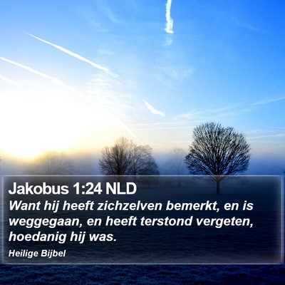 Jakobus 1:24 NLD Bible Verse Image