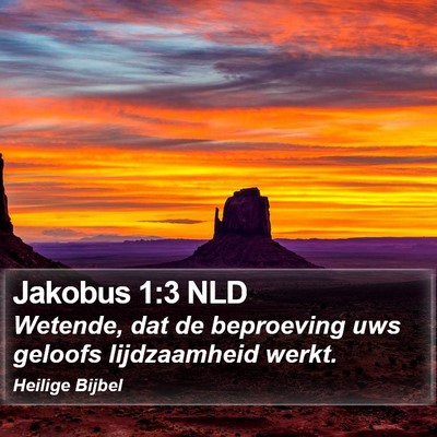 Jakobus 1:3 NLD Bible Verse Image